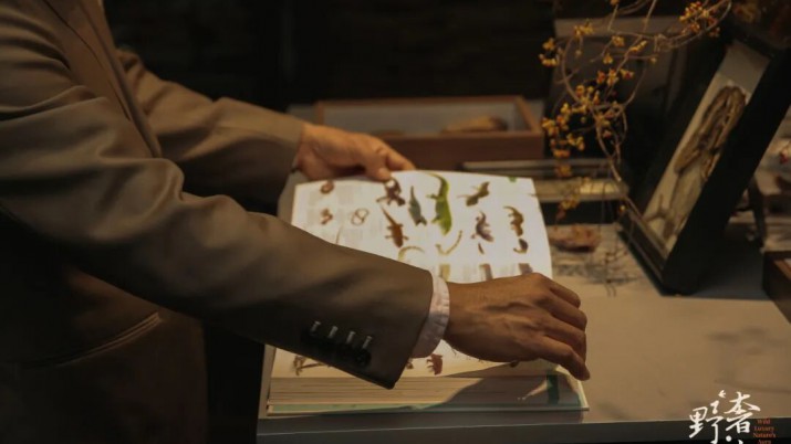 奢野之間·探尋“間度”智慧｜歐大師門(mén)窗「奢野間度」設(shè)計(jì)主題沙龍圓滿(mǎn)收官